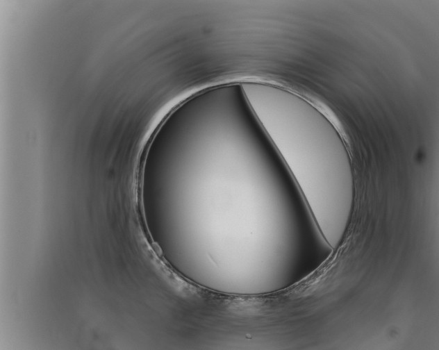 X0000091521148200708171005
