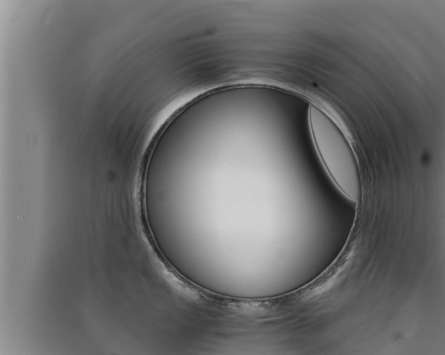 X0000091521149200708171005