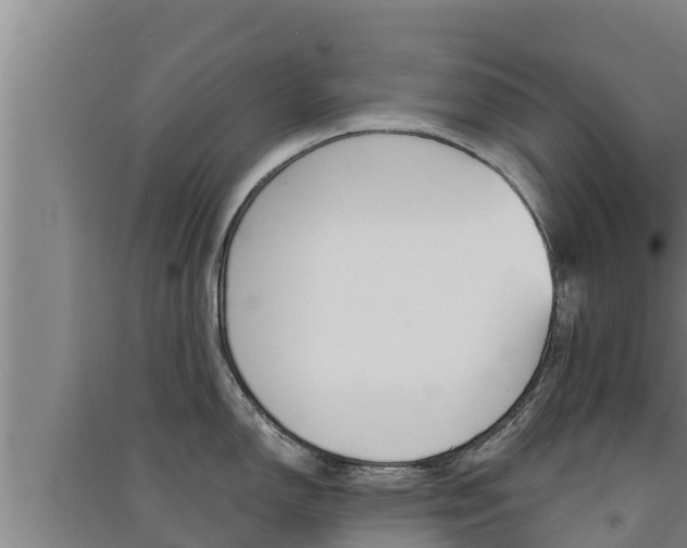X0000091521150200708171005