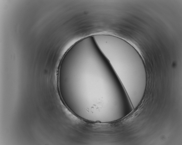 X0000091521151200708171005