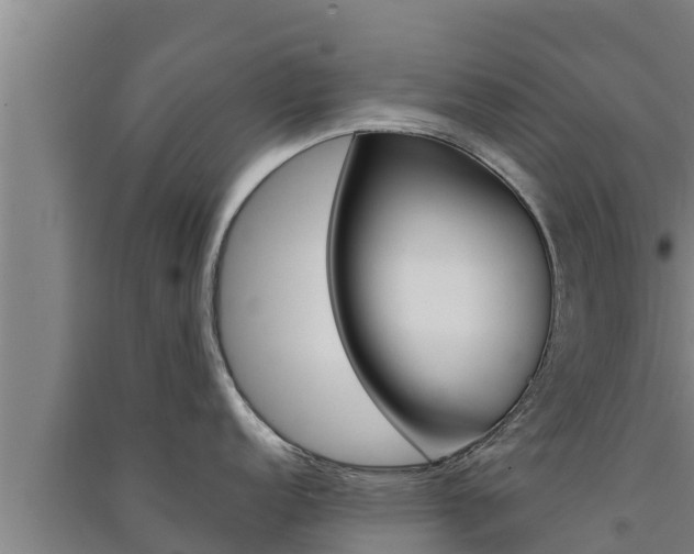 X0000091521152200708171005