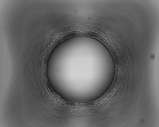 X0000091521153200708171004