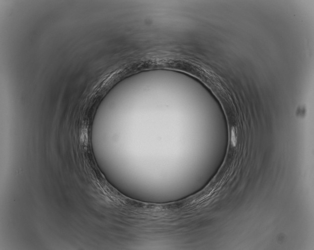 X0000091521155200708171004