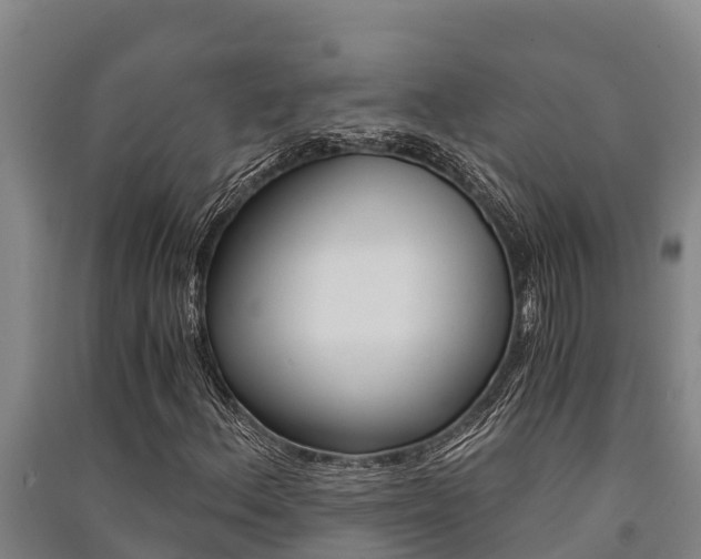 X0000091521156200708171004