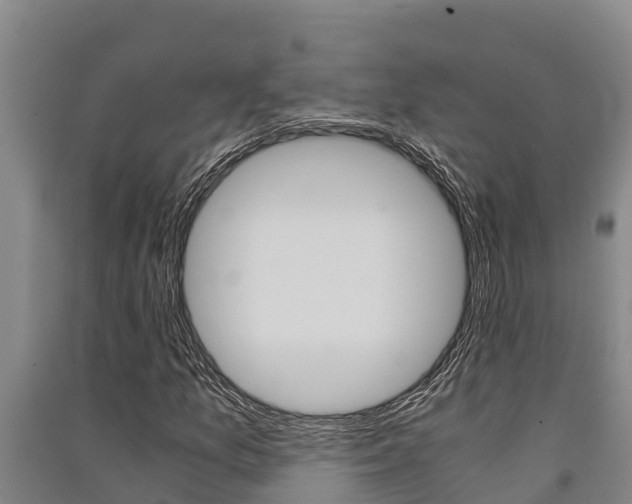 X0000091521157200708171004