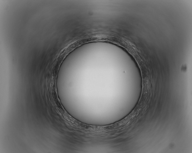 X0000091521158200708171004