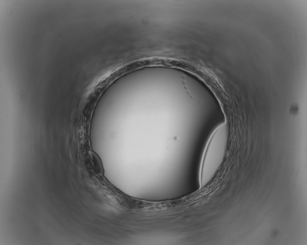 X0000091521159200708171004