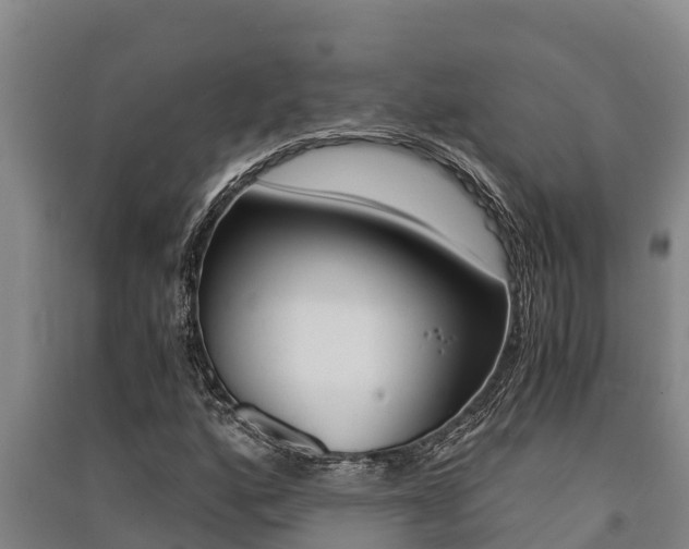 X0000091521160200708171004