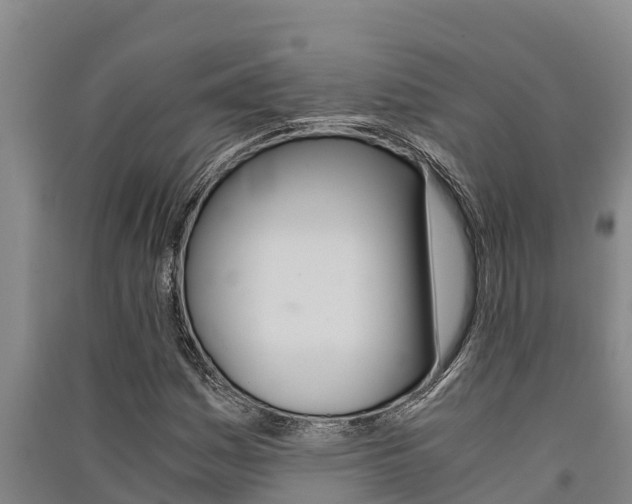 X0000091521161200708171004
