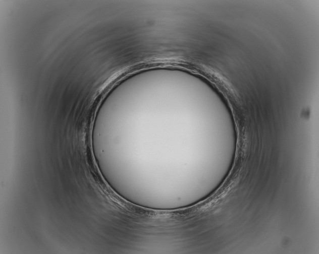 X0000091521162200708171004