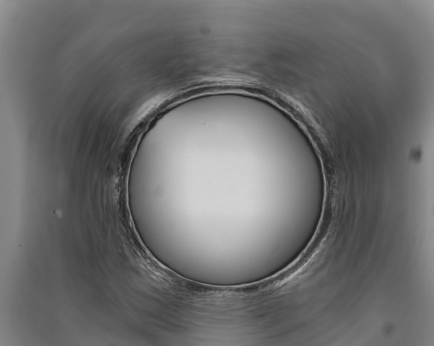 X0000091521163200708171004