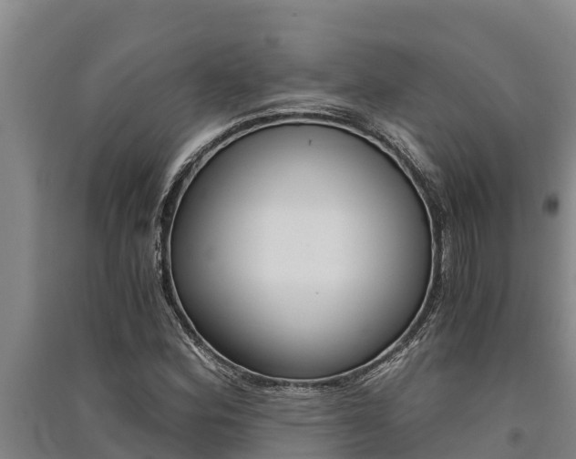 X0000091521164200708171004