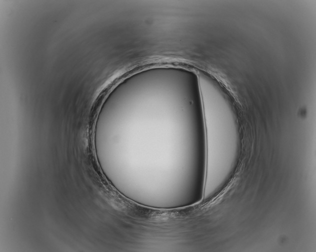X0000091521165200708171004
