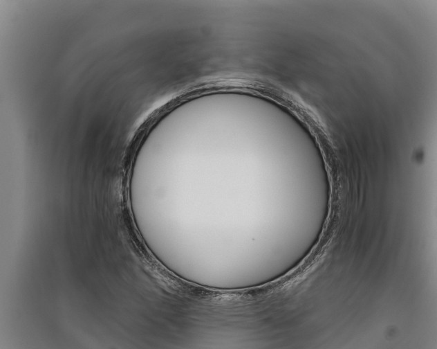 X0000091521166200708171004