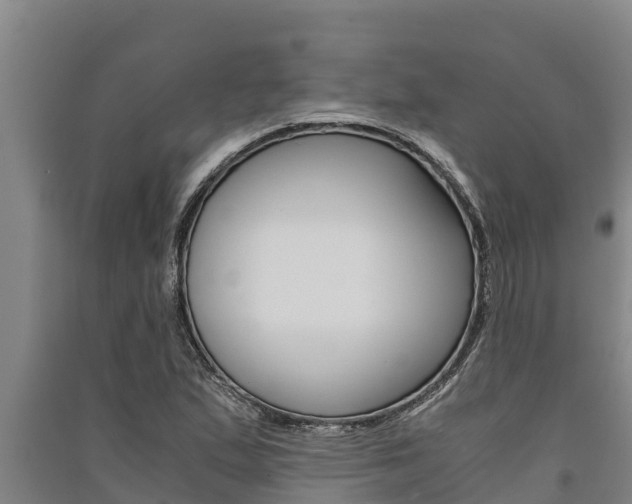 X0000091521167200708171004