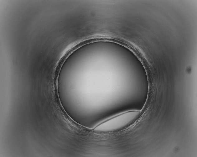 X0000091521168200708171004
