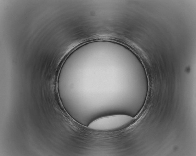 X0000091521170200708171004