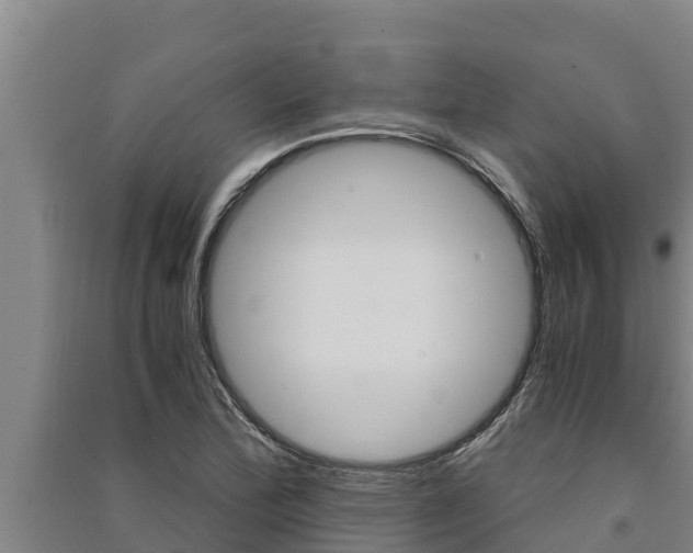 X0000091521172200708171004