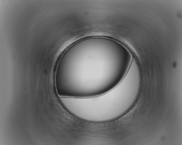 X0000091521173200708171004