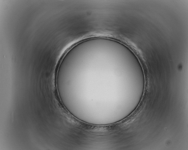 X0000091521174200708171004