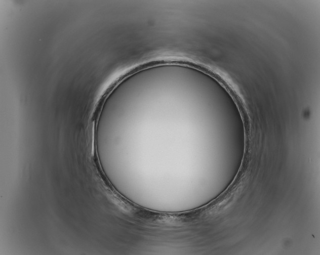 X0000091521175200708171004