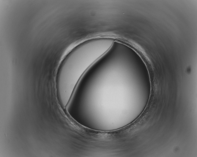 X0000091521176200708171004