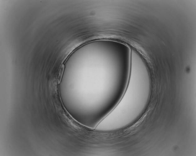 X0000091521177200708171004