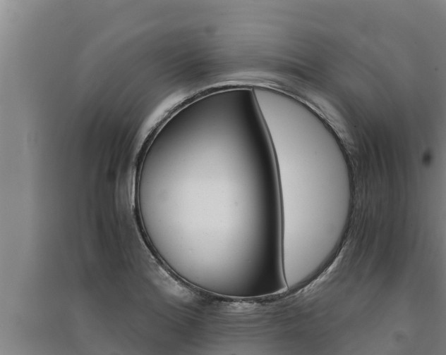 X0000091521180200708171004