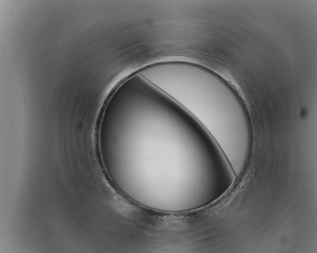 X0000091521181200708171004