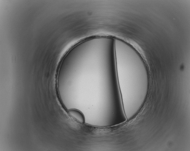 X0000091521183200708171003