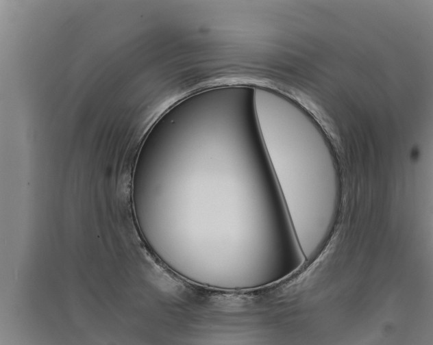 X0000091521185200708171003
