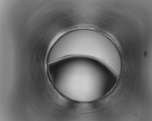 X0000091521188200708171003