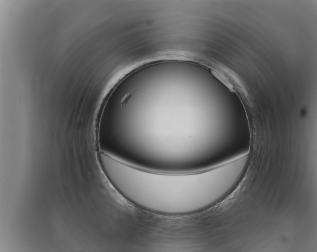 X0000091521192200708171003