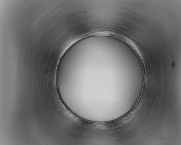 X0000091521194200708171003