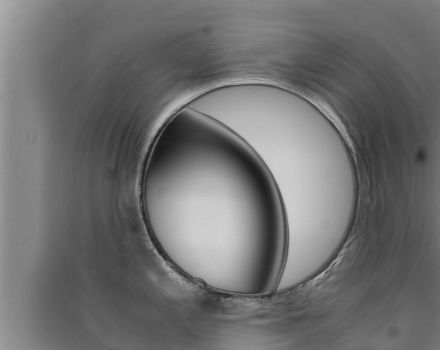 X0000091521197200708171003