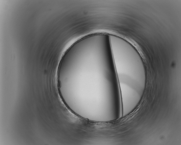 X0000091521199200708171003