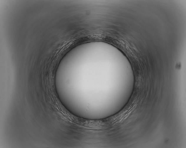X0000091521201200708171002