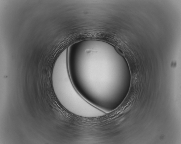X0000091521202200708171003