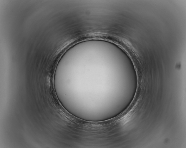 X0000091521209200708171003