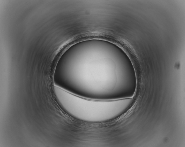 X0000091521210200708171003