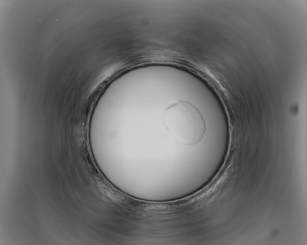 X0000091521211200708171003