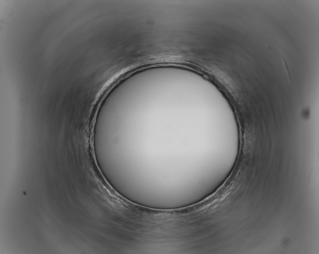 X0000091521212200708171003