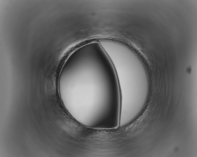 X0000091521214200708171003