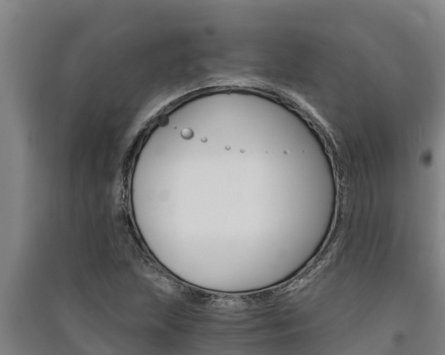 X0000091521215200708171003