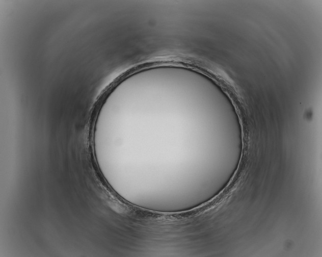 X0000091521216200708171003