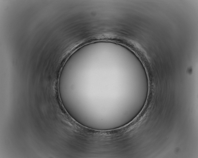 X0000091521217200708171003