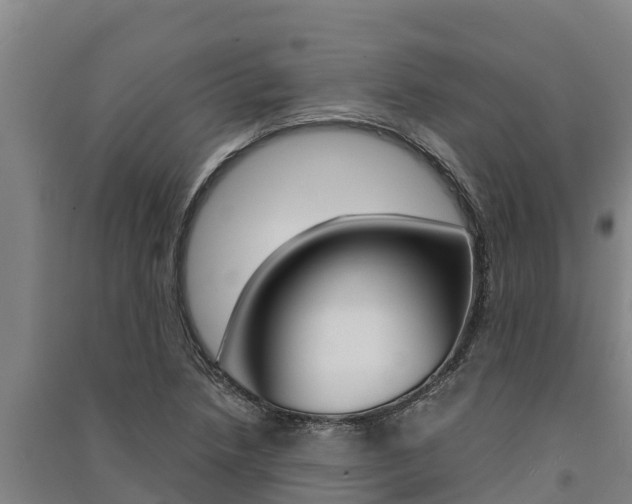 X0000091521218200708171003
