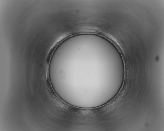 X0000091521219200708171003