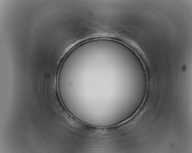 X0000091521220200708171003