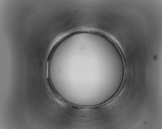 X0000091521223200708171003